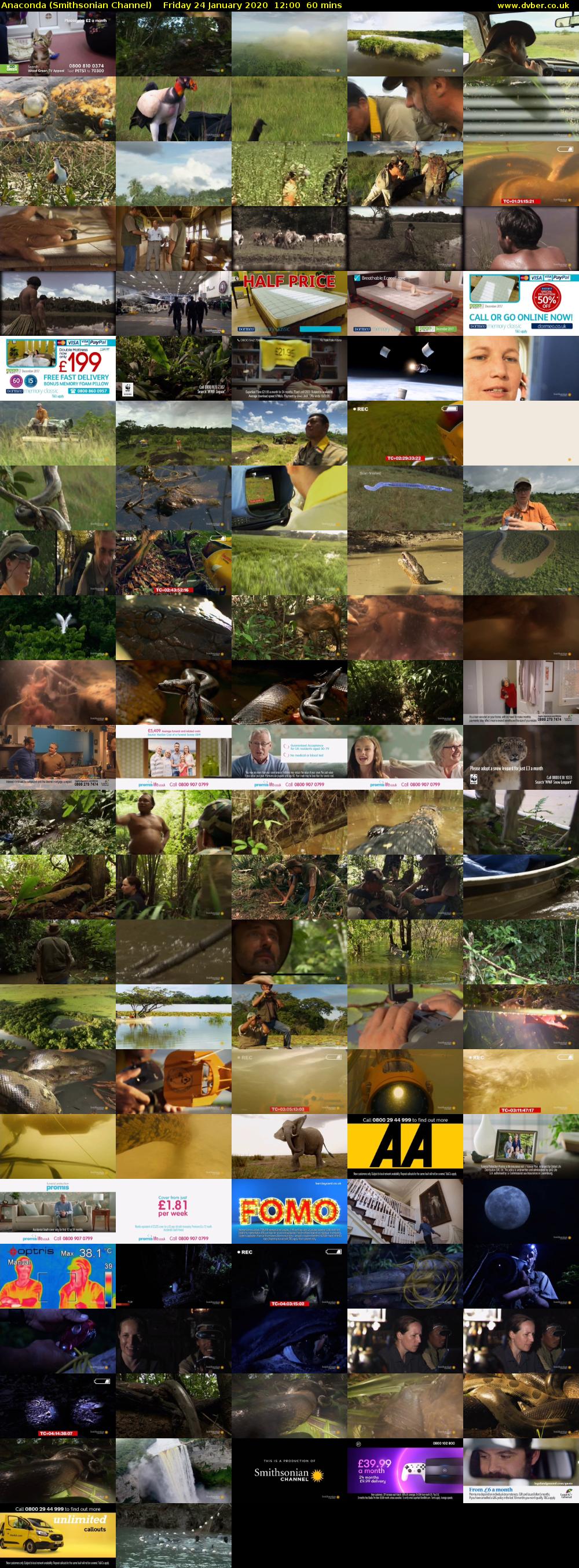 Anaconda (Smithsonian Channel) Friday 24 January 2020 12:00 - 13:00