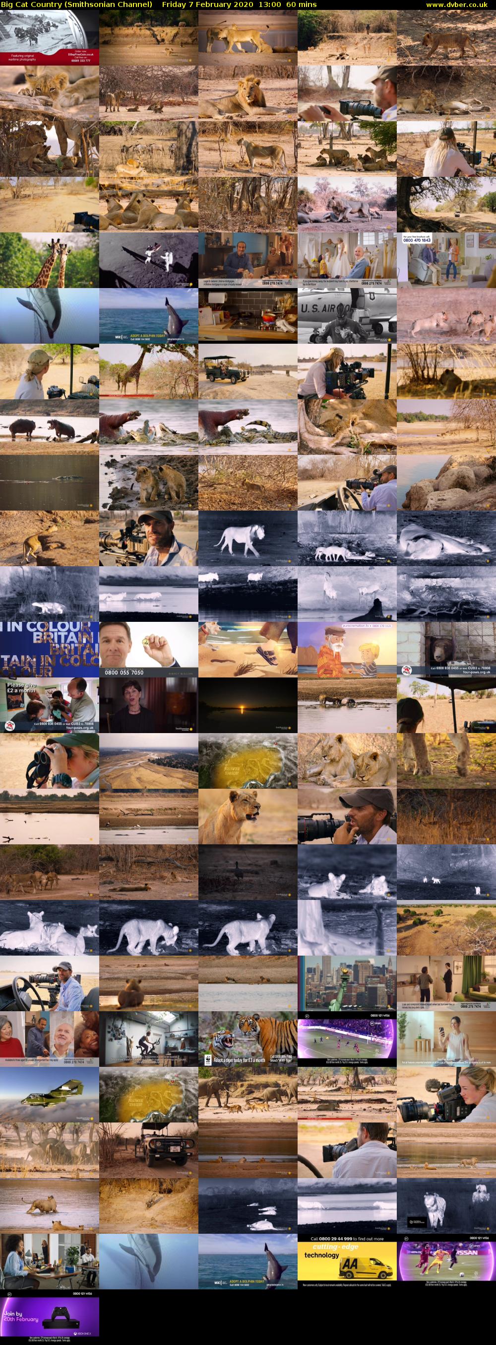 Big Cat Country (Smithsonian Channel) Friday 7 February 2020 13:00 - 14:00