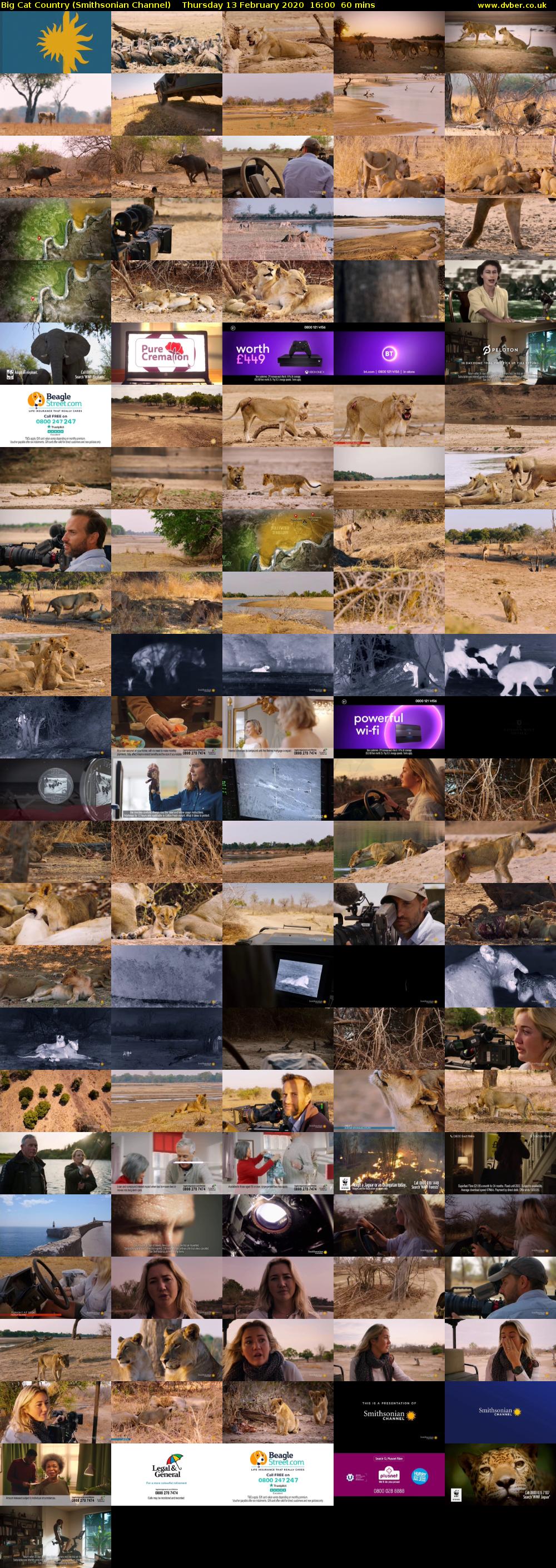 Big Cat Country (Smithsonian Channel) Thursday 13 February 2020 16:00 - 17:00