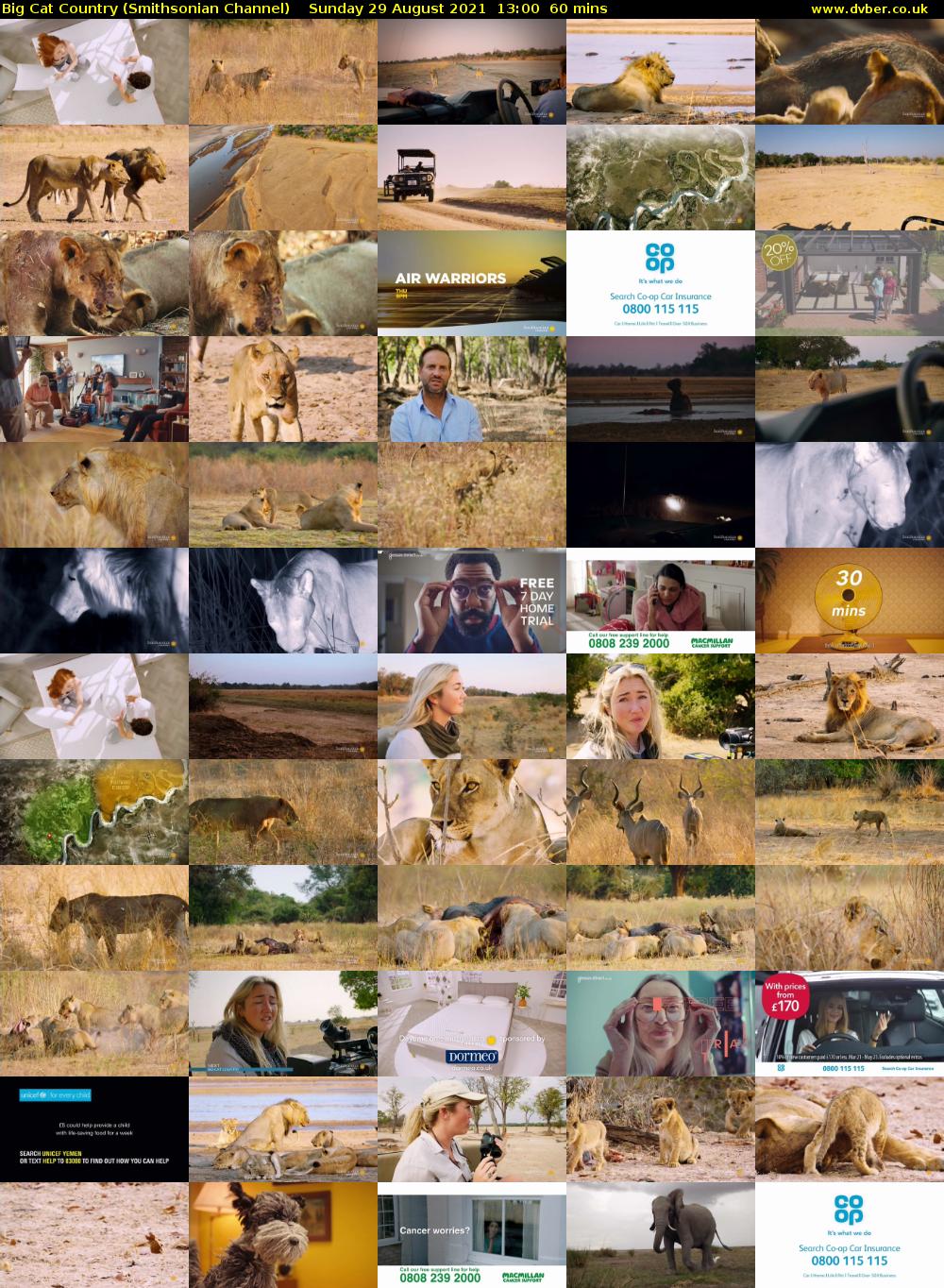 Big Cat Country (Smithsonian Channel) Sunday 29 August 2021 14:00 - 15:00