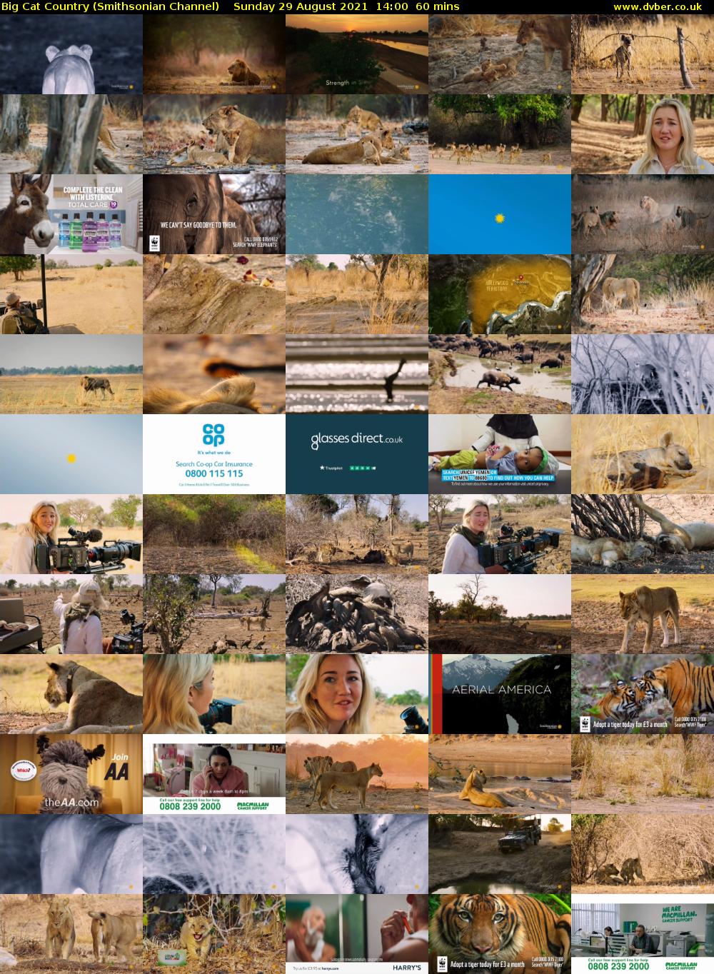 Big Cat Country (Smithsonian Channel) Sunday 29 August 2021 15:00 - 16:00