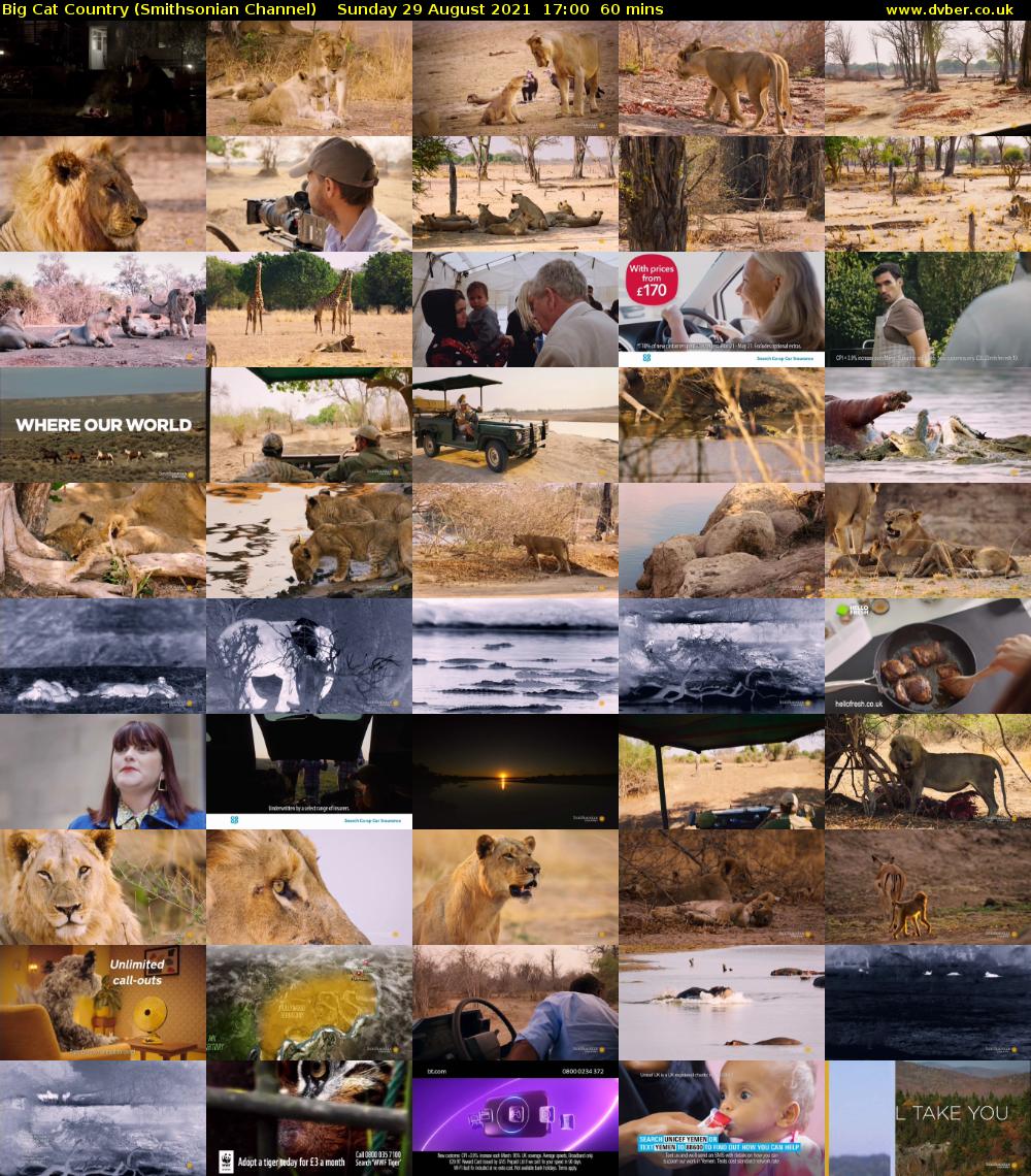 Big Cat Country (Smithsonian Channel) Sunday 29 August 2021 18:00 - 19:00