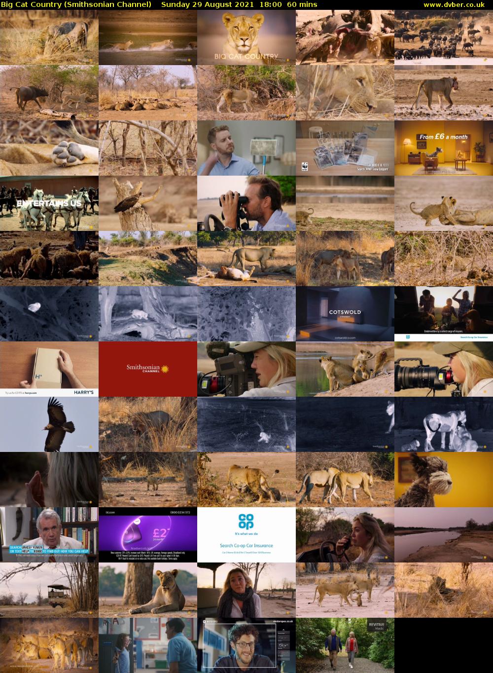Big Cat Country (Smithsonian Channel) Sunday 29 August 2021 19:00 - 20:00