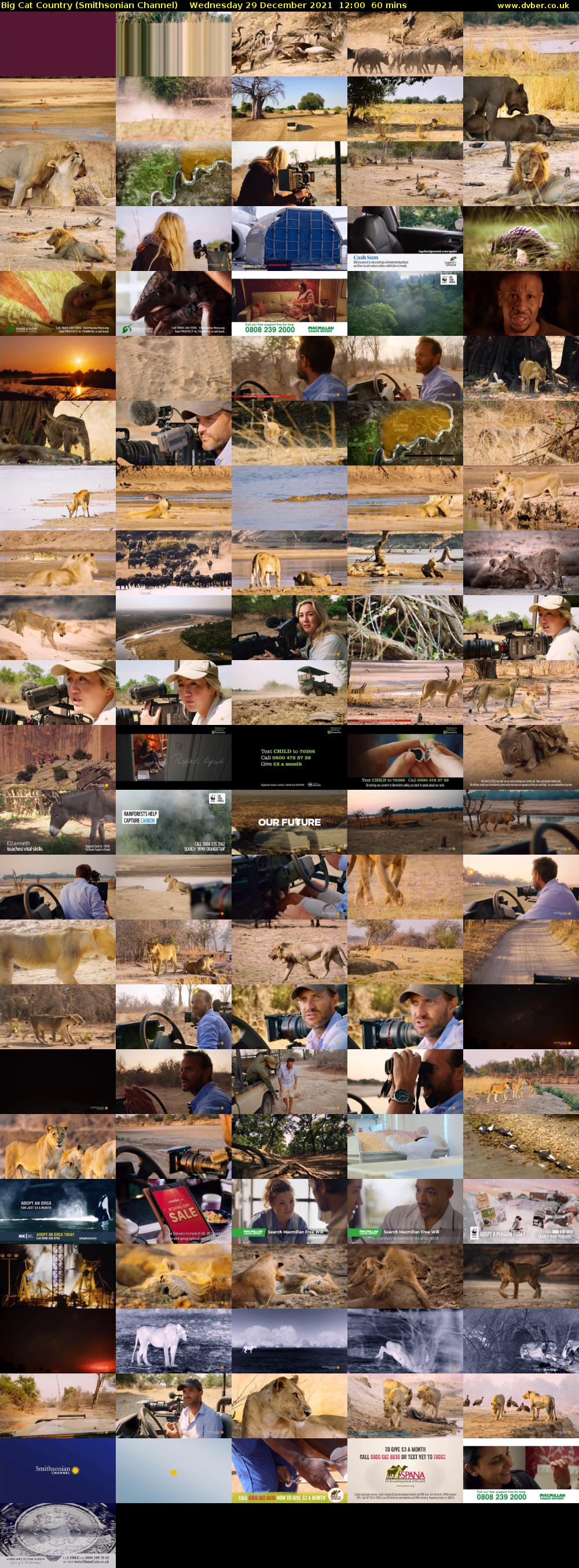 Big Cat Country (Smithsonian Channel) Wednesday 29 December 2021 12:00 - 13:00