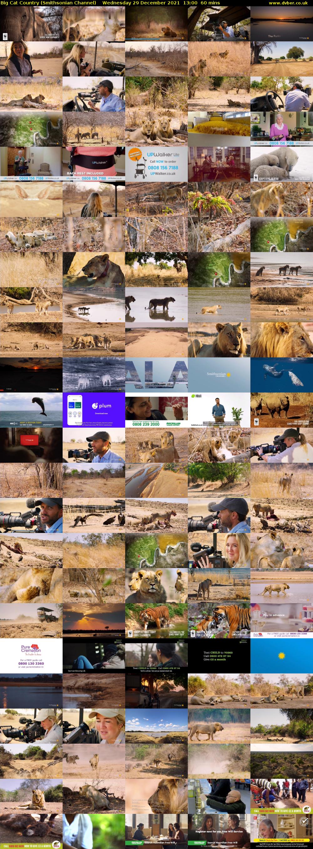 Big Cat Country (Smithsonian Channel) Wednesday 29 December 2021 13:00 - 14:00