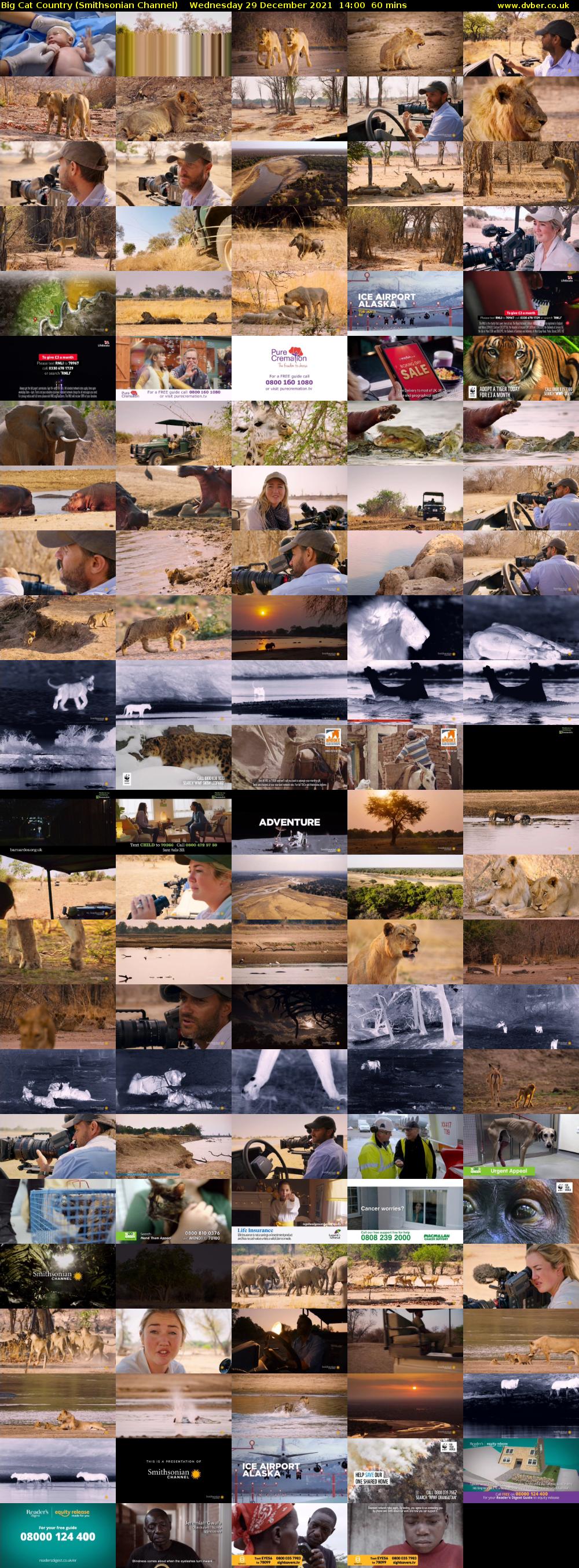 Big Cat Country (Smithsonian Channel) Wednesday 29 December 2021 14:00 - 15:00