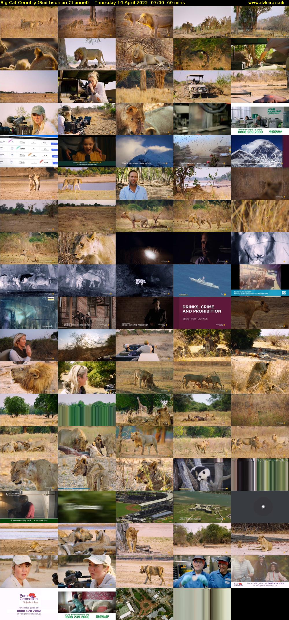 Big Cat Country (Smithsonian Channel) Thursday 14 April 2022 07:00 - 08:00