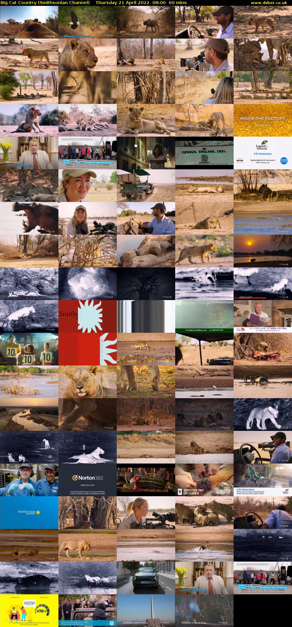 Big Cat Country (Smithsonian Channel) Thursday 21 April 2022 08:00 - 09:00
