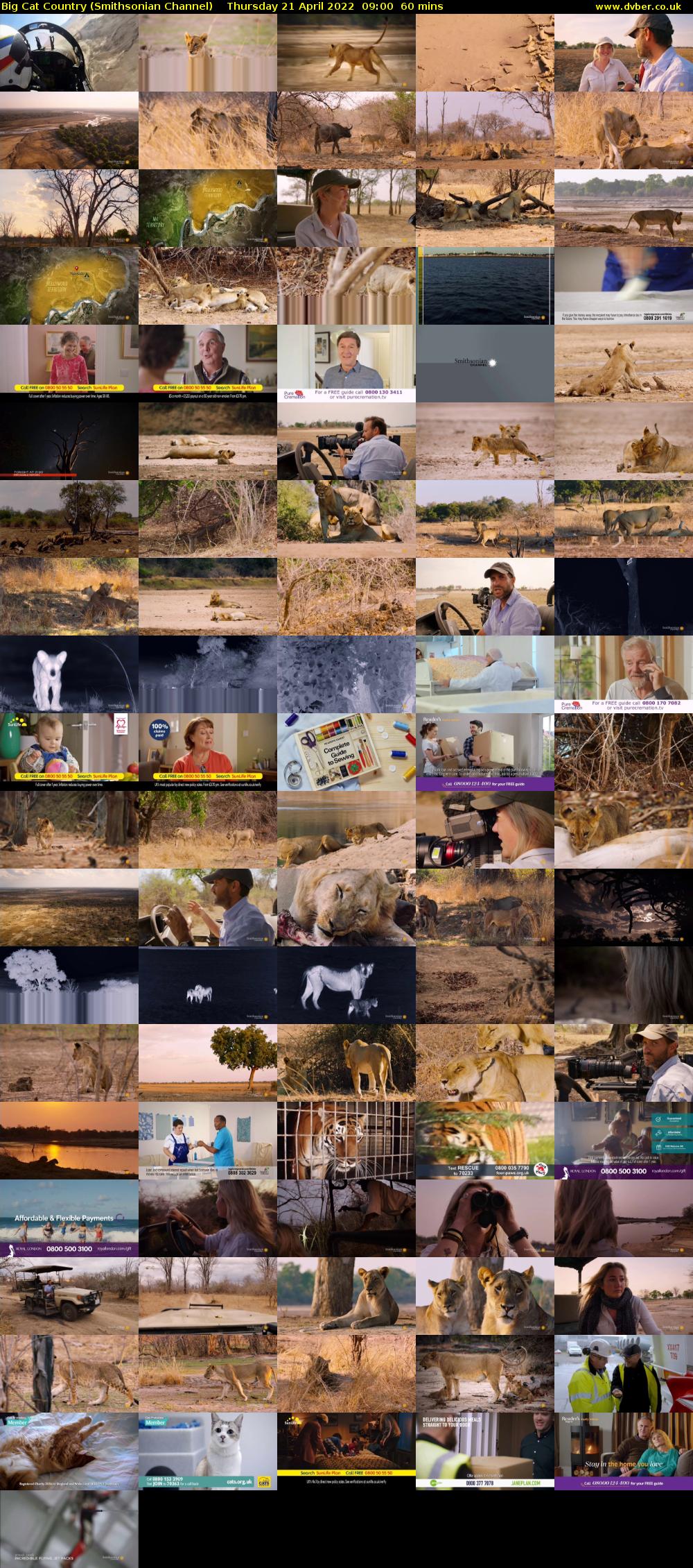 Big Cat Country (Smithsonian Channel) Thursday 21 April 2022 09:00 - 10:00