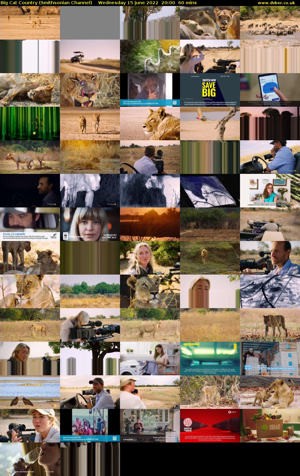 Big Cat Country (Smithsonian Channel) Wednesday 15 June 2022 20:00 - 21:00