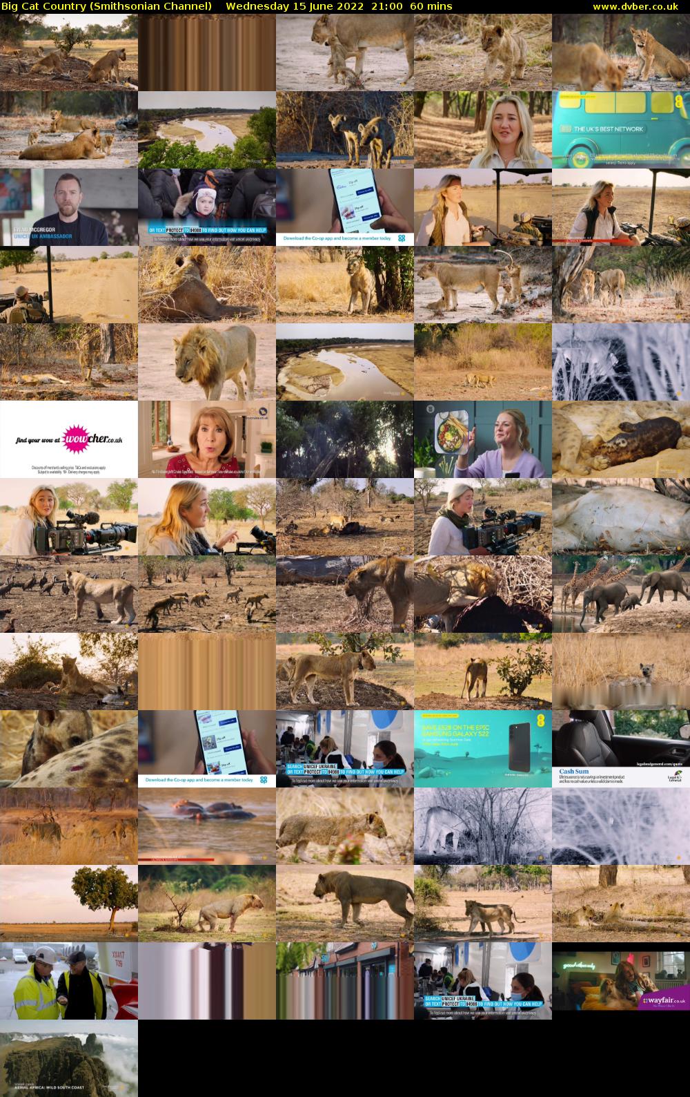Big Cat Country (Smithsonian Channel) Wednesday 15 June 2022 21:00 - 22:00