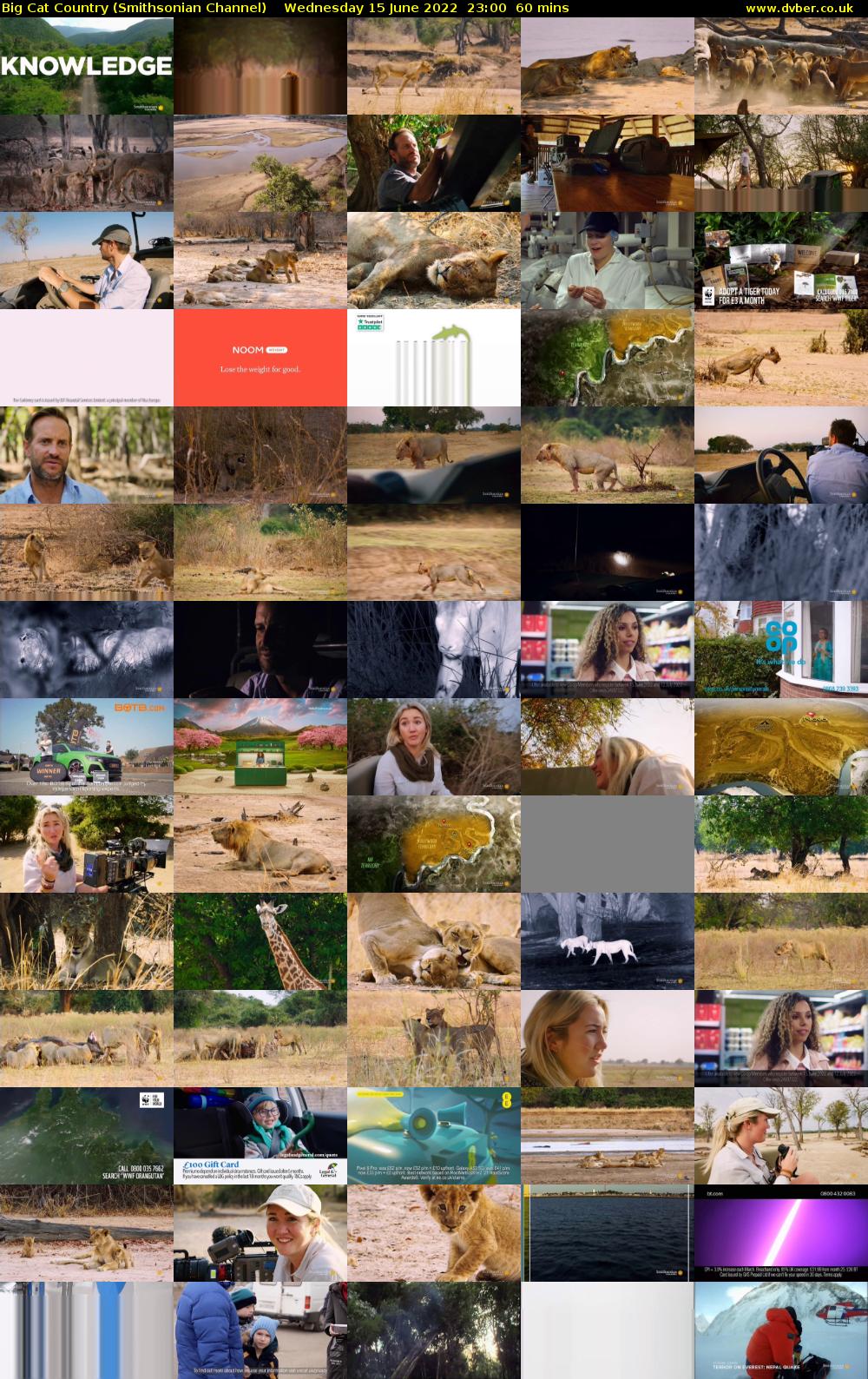 Big Cat Country (Smithsonian Channel) Wednesday 15 June 2022 23:00 - 00:00