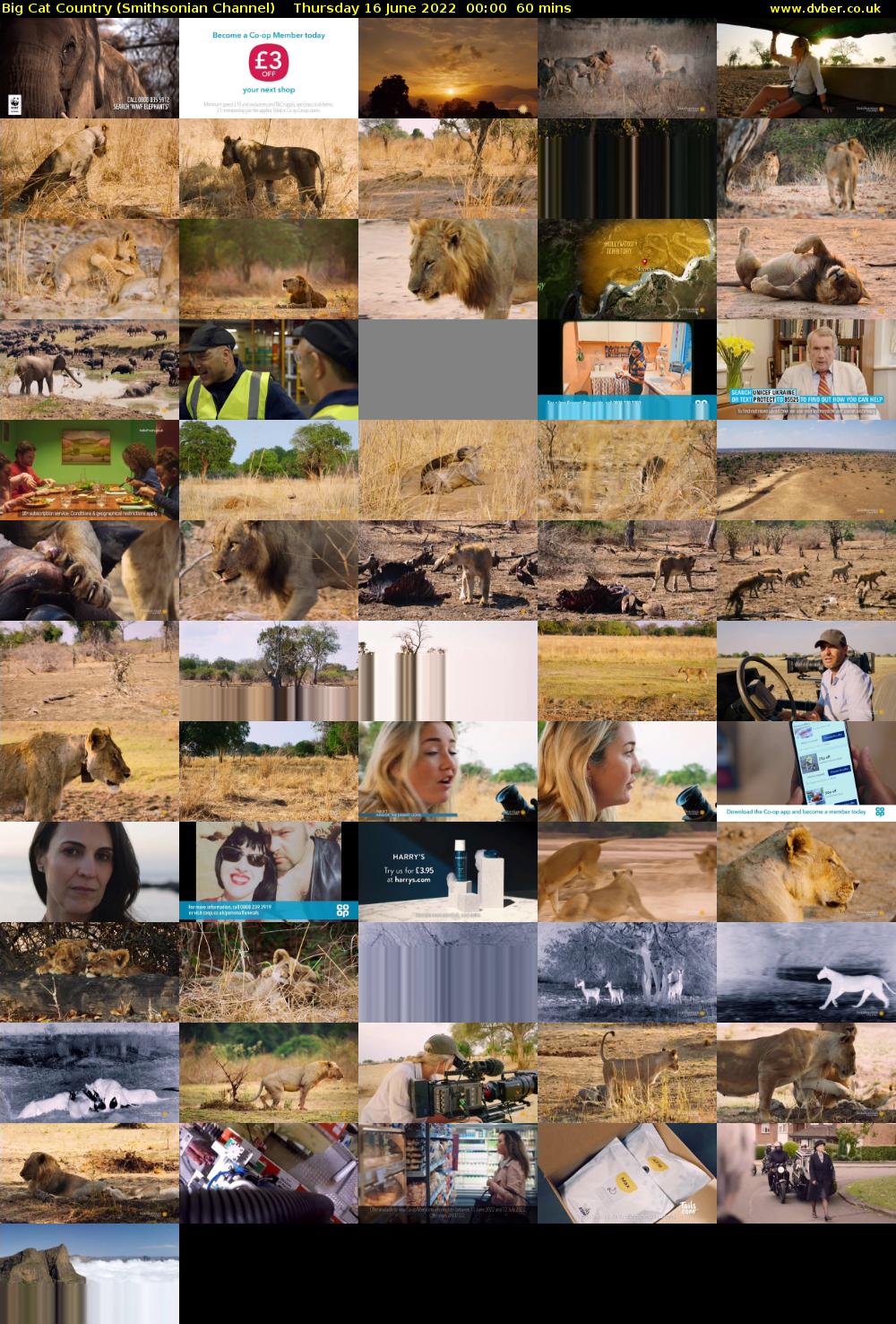 Big Cat Country (Smithsonian Channel) Thursday 16 June 2022 00:00 - 01:00