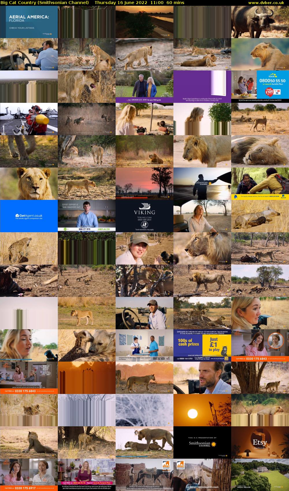 Big Cat Country (Smithsonian Channel) Thursday 16 June 2022 11:00 - 12:00
