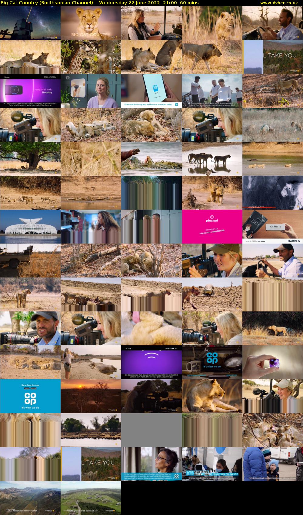 Big Cat Country (Smithsonian Channel) Wednesday 22 June 2022 21:00 - 22:00