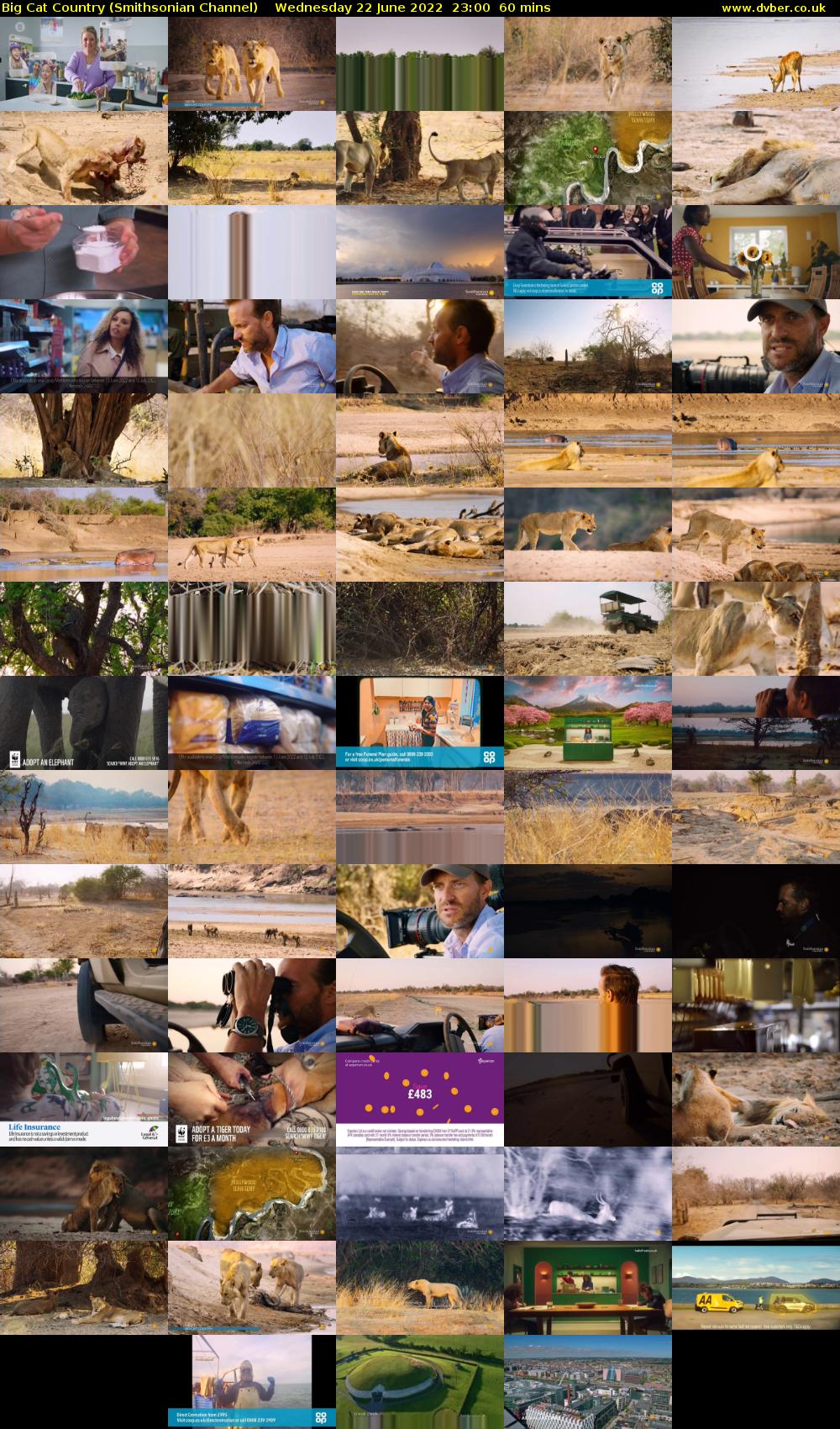 Big Cat Country (Smithsonian Channel) Wednesday 22 June 2022 23:00 - 00:00