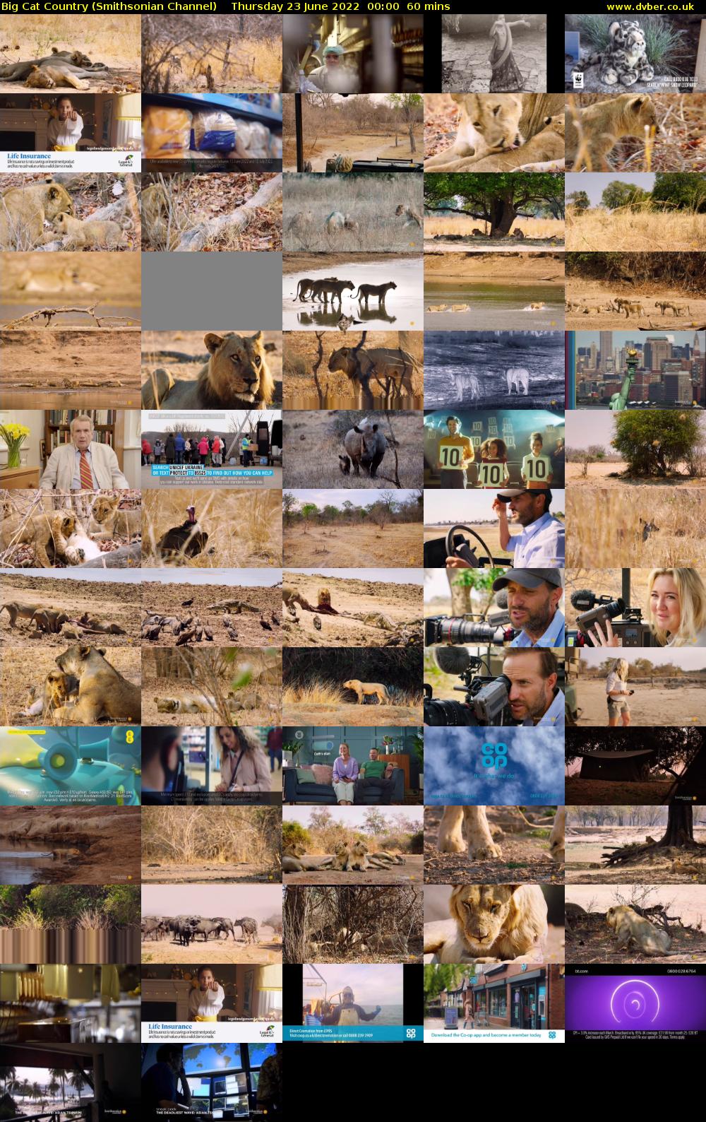 Big Cat Country (Smithsonian Channel) Thursday 23 June 2022 00:00 - 01:00