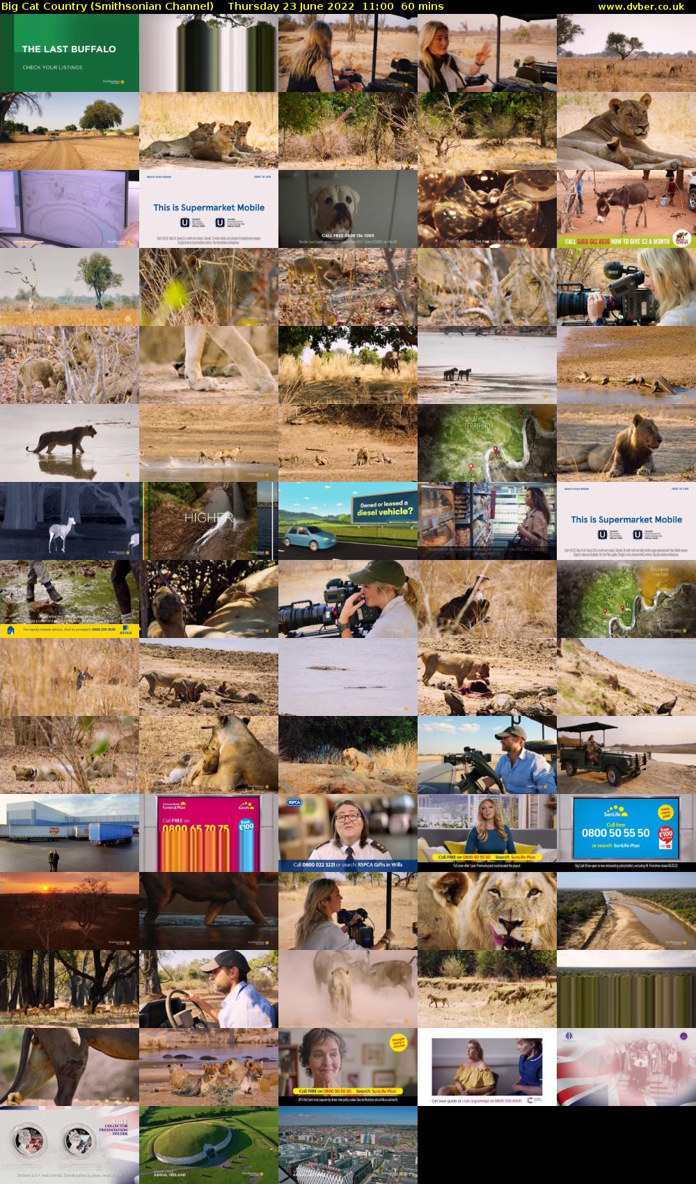 Big Cat Country (Smithsonian Channel) Thursday 23 June 2022 11:00 - 12:00