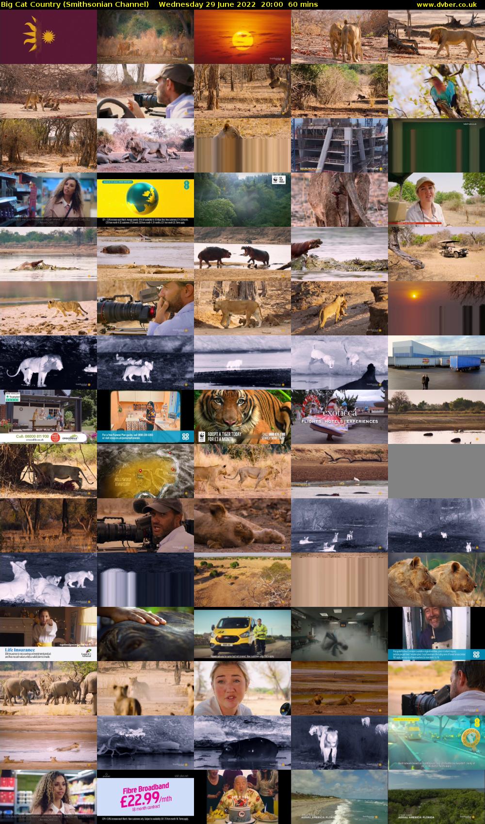 Big Cat Country (Smithsonian Channel) Wednesday 29 June 2022 20:00 - 21:00