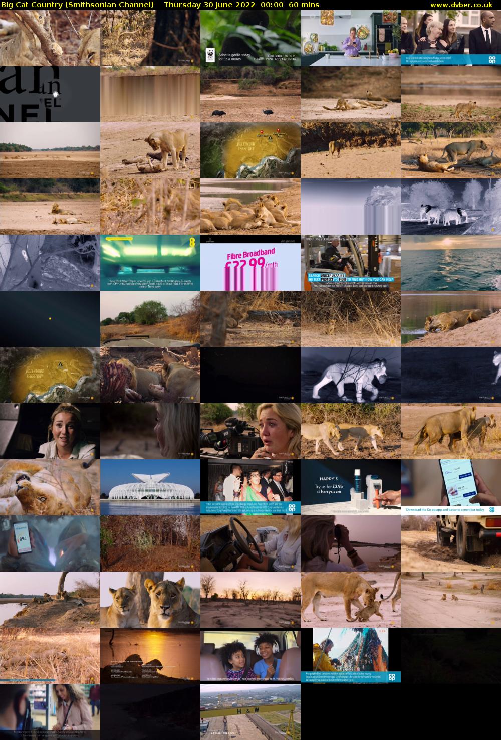 Big Cat Country (Smithsonian Channel) Thursday 30 June 2022 00:00 - 01:00
