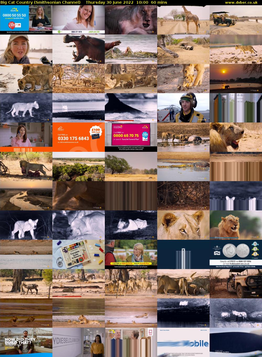 Big Cat Country (Smithsonian Channel) Thursday 30 June 2022 10:00 - 11:00