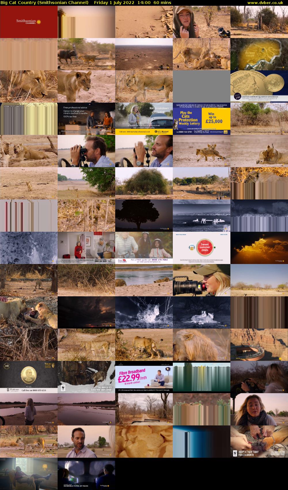 Big Cat Country (Smithsonian Channel) Friday 1 July 2022 14:00 - 15:00