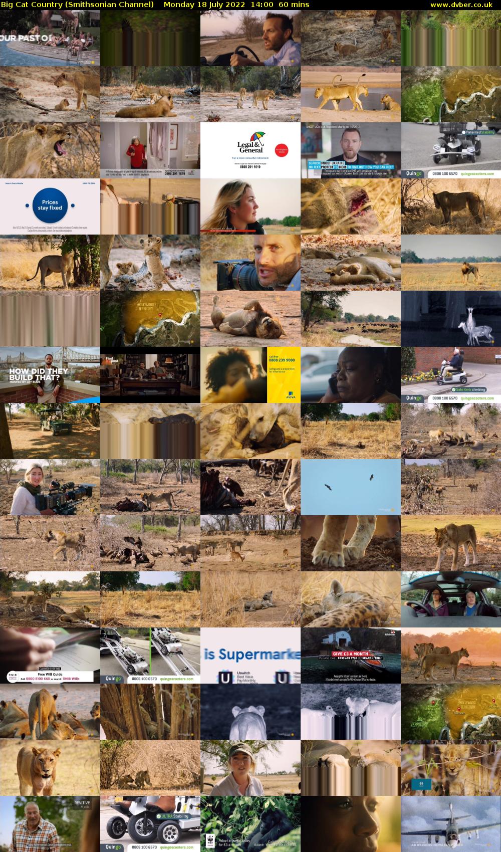 Big Cat Country (Smithsonian Channel) Monday 18 July 2022 14:00 - 15:00