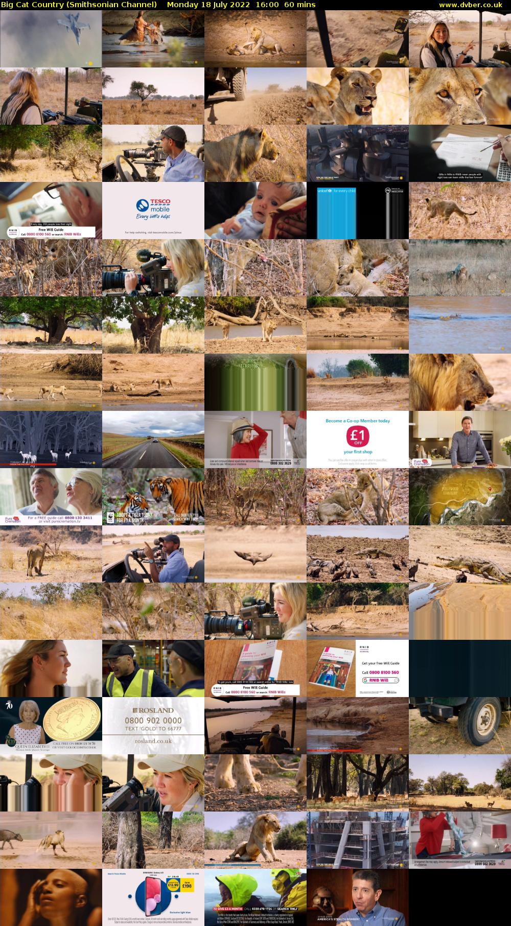 Big Cat Country (Smithsonian Channel) Monday 18 July 2022 16:00 - 17:00