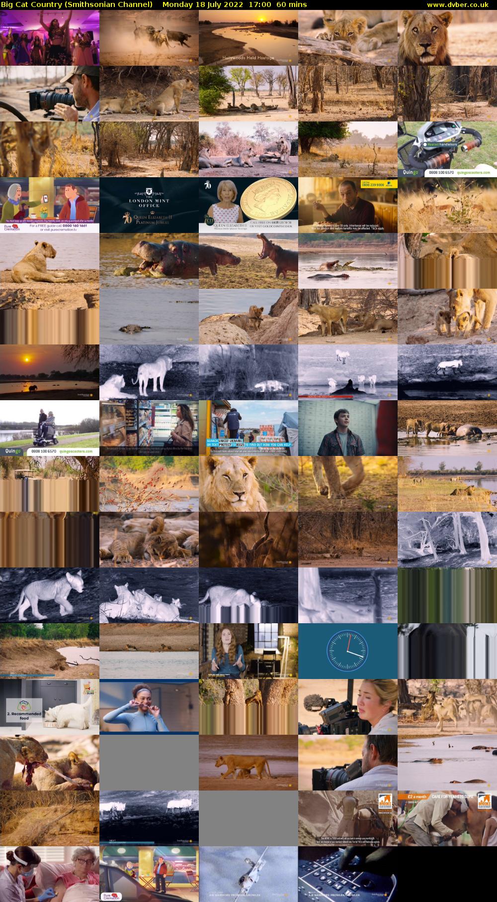 Big Cat Country (Smithsonian Channel) Monday 18 July 2022 17:00 - 18:00