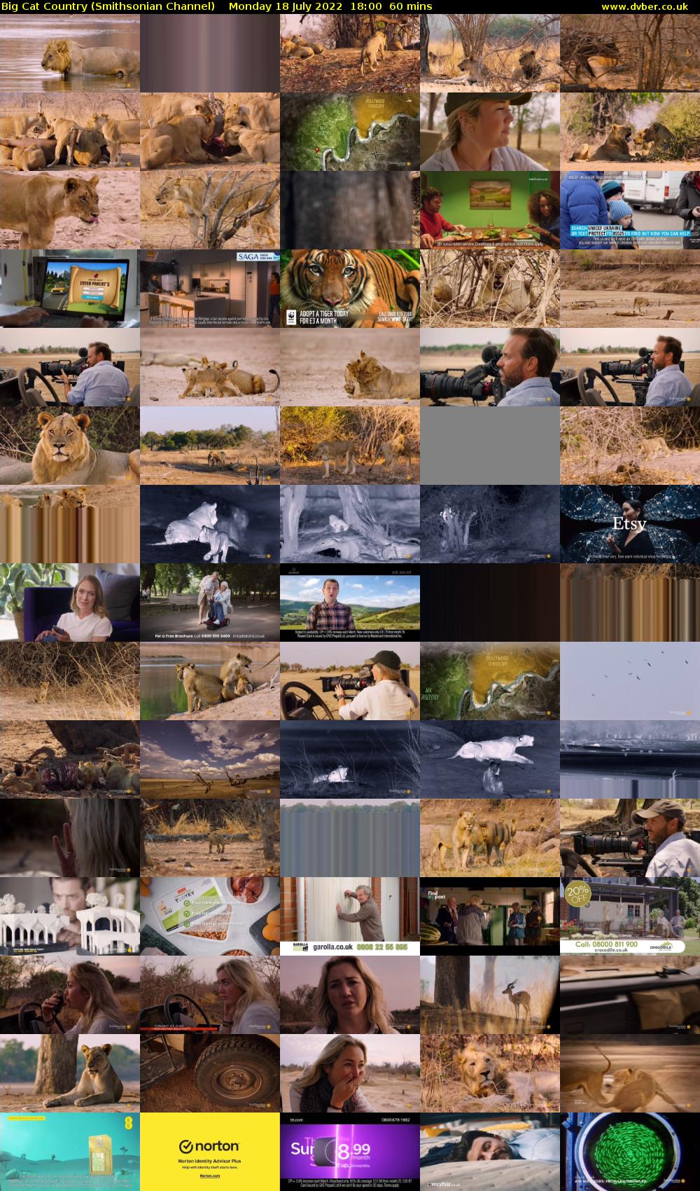 Big Cat Country (Smithsonian Channel) Monday 18 July 2022 18:00 - 19:00