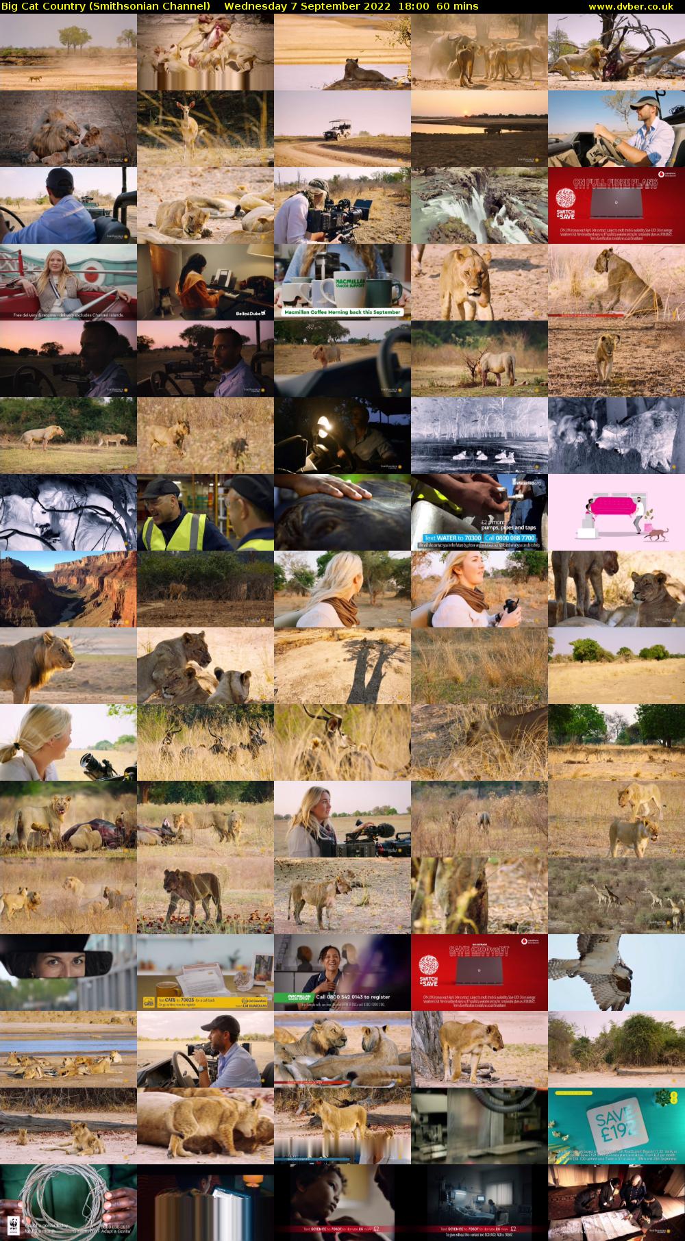 Big Cat Country (Smithsonian Channel) Wednesday 7 September 2022 18:00 - 19:00
