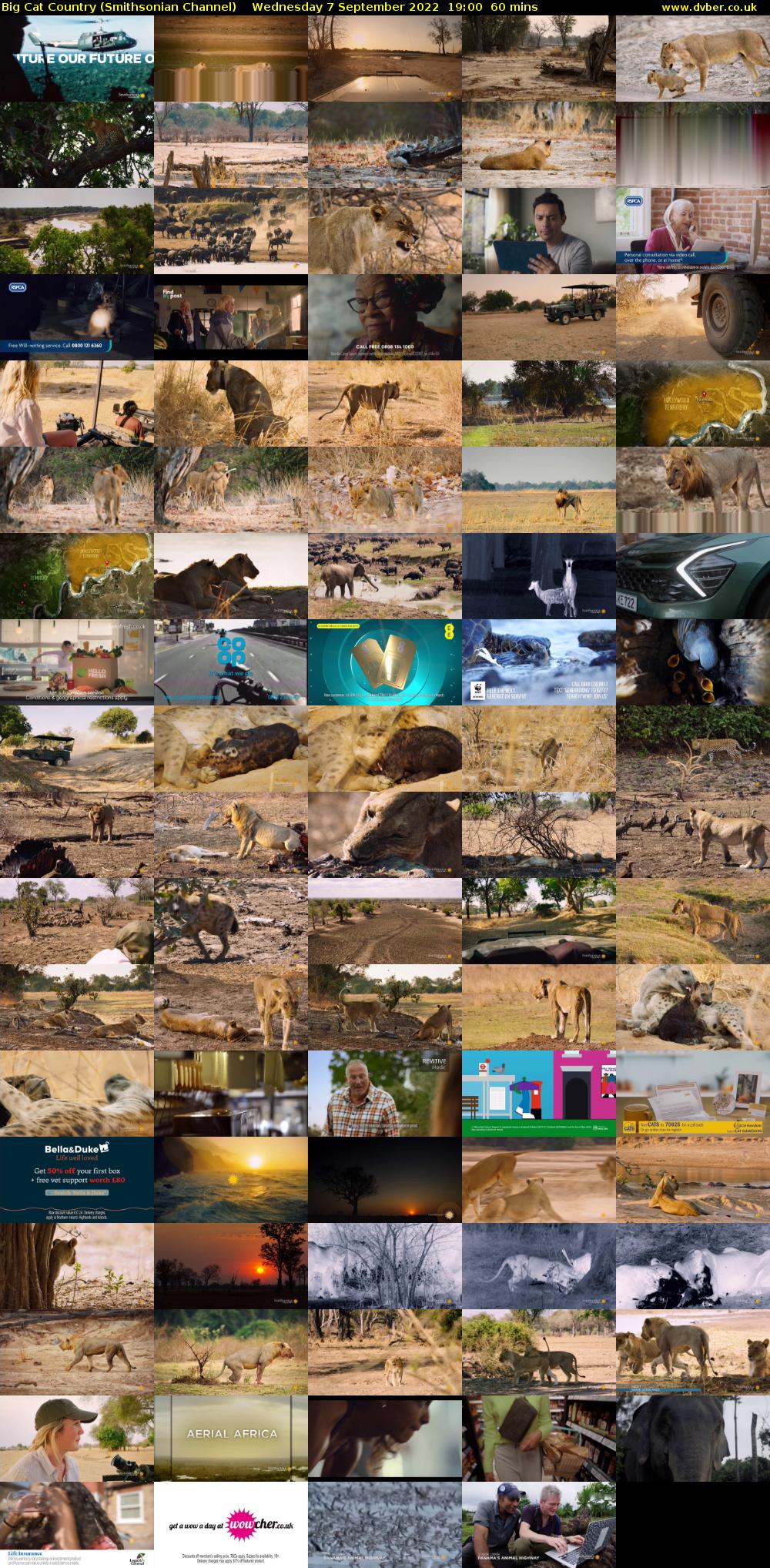 Big Cat Country (Smithsonian Channel) Wednesday 7 September 2022 19:00 - 20:00