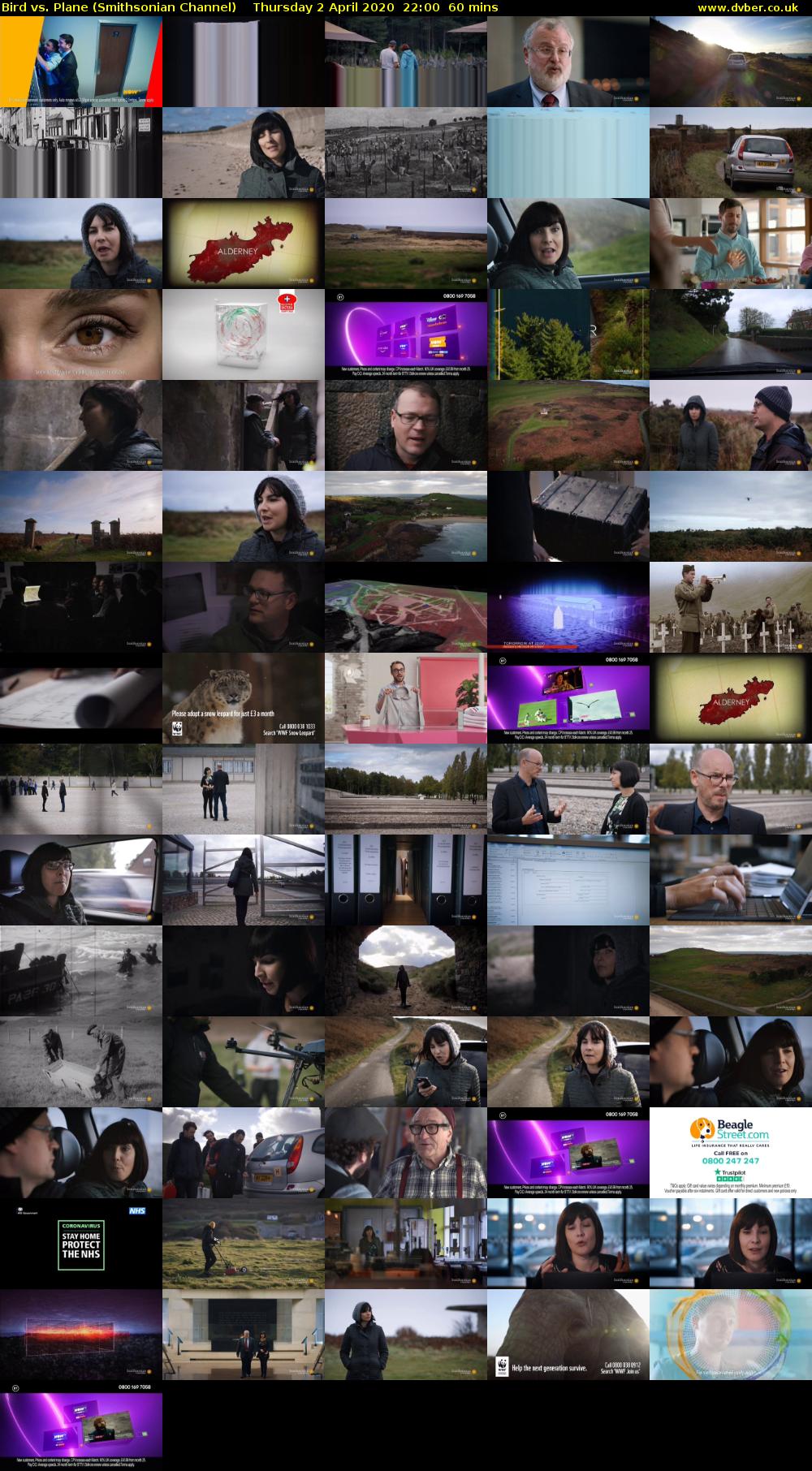 Bird vs. Plane (Smithsonian Channel) Thursday 2 April 2020 22:00 - 23:00