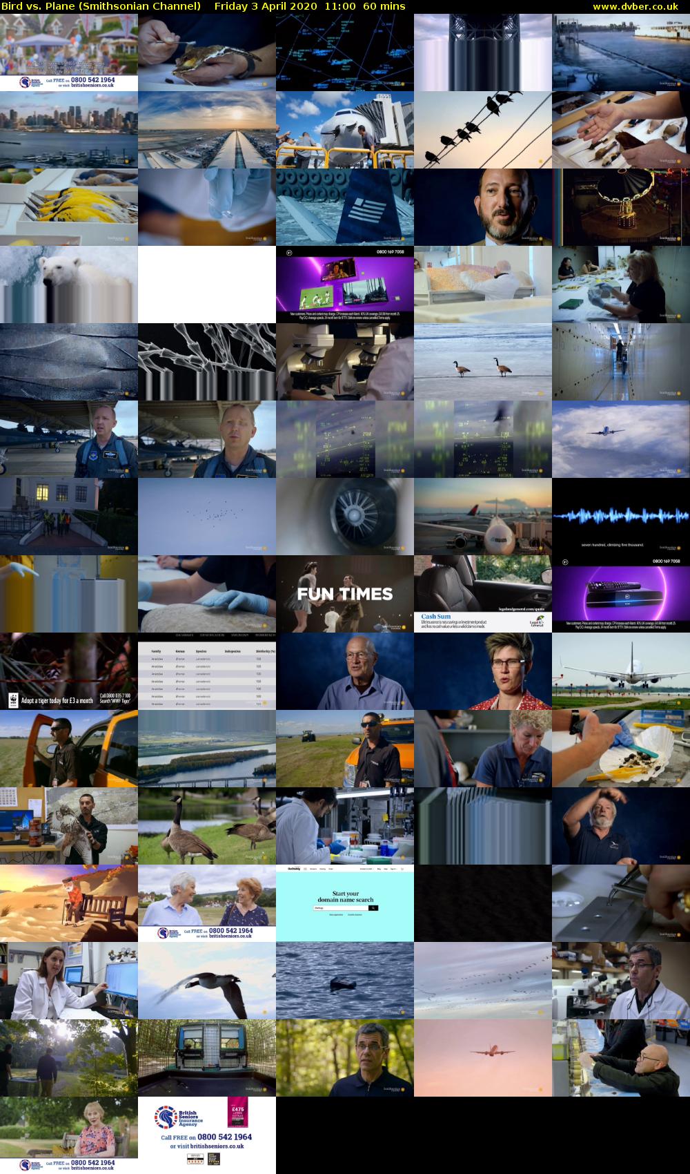 Bird vs. Plane (Smithsonian Channel) Friday 3 April 2020 11:00 - 12:00