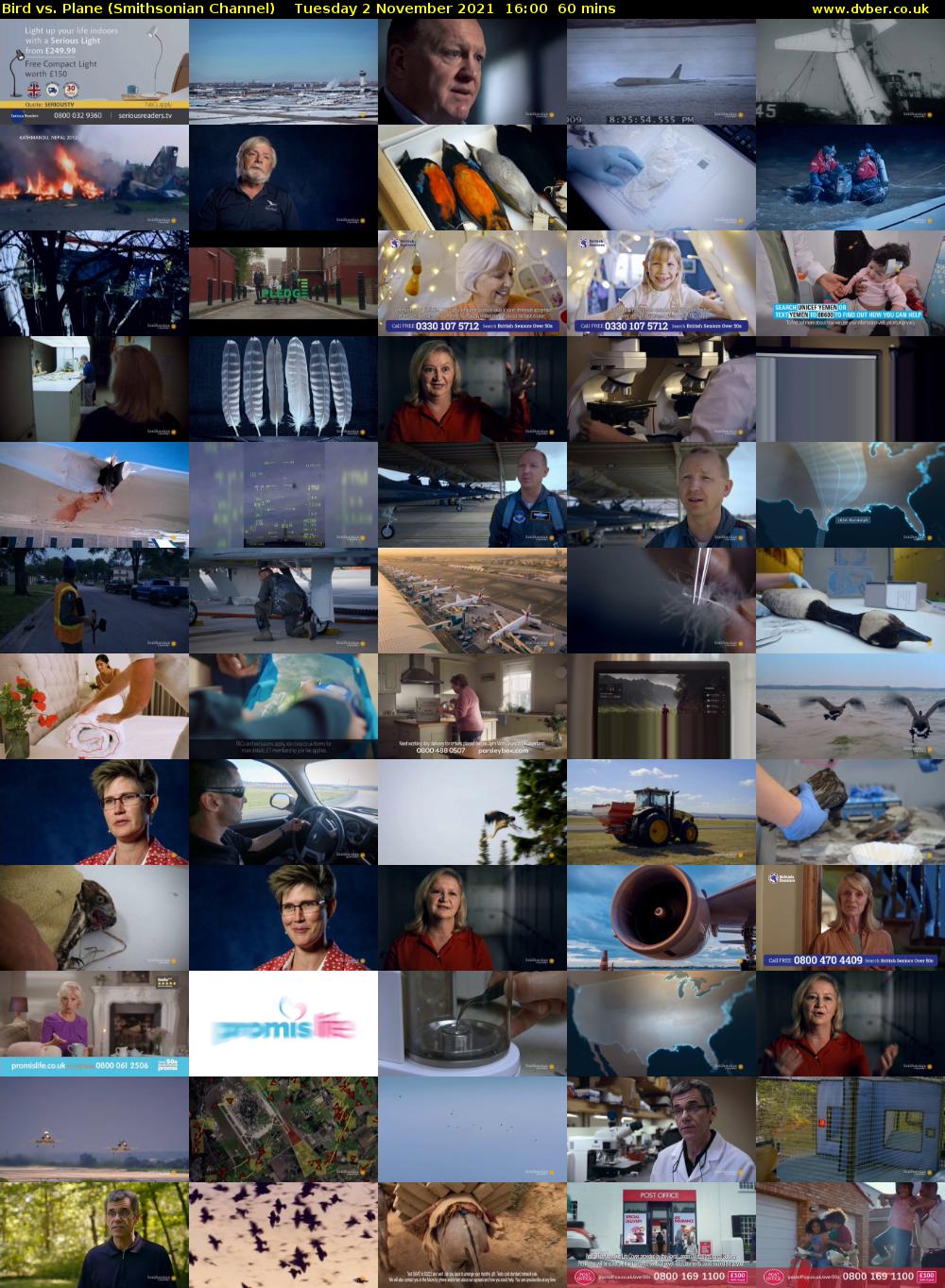 Bird vs. Plane (Smithsonian Channel) Tuesday 2 November 2021 16:00 - 17:00