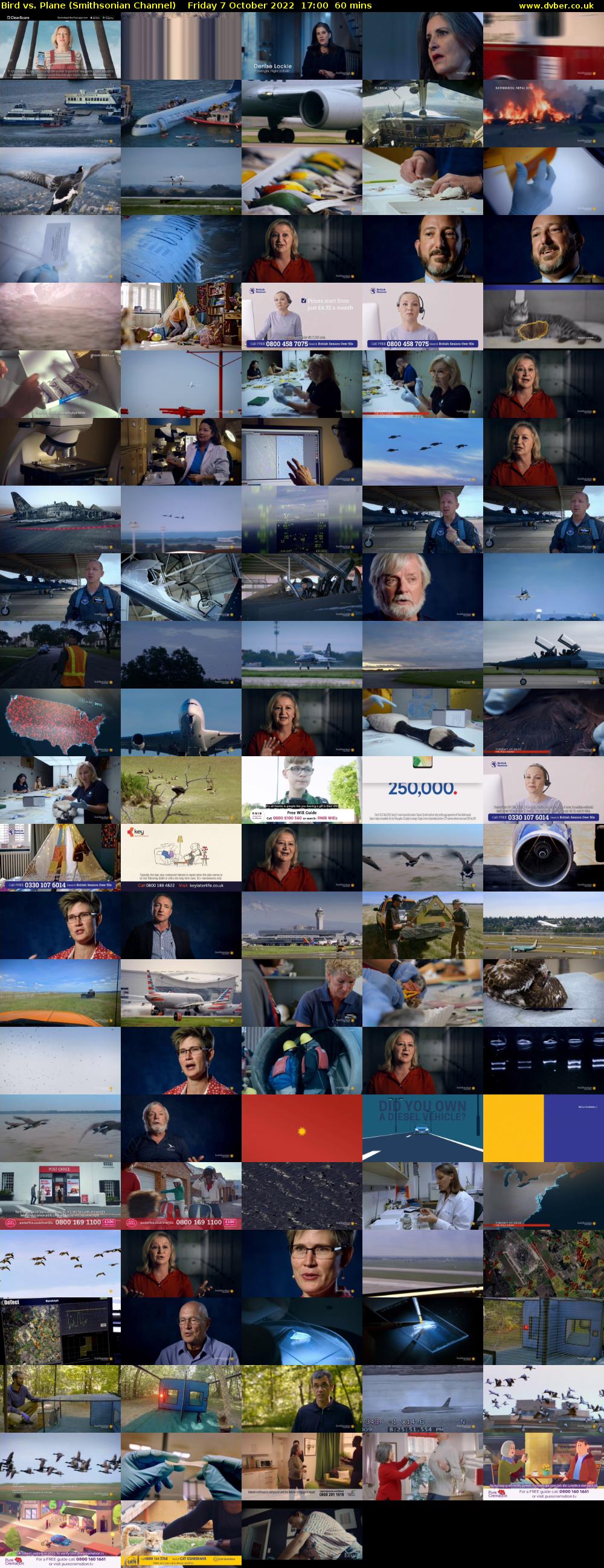 Bird vs. Plane (Smithsonian Channel) Friday 7 October 2022 17:00 - 18:00
