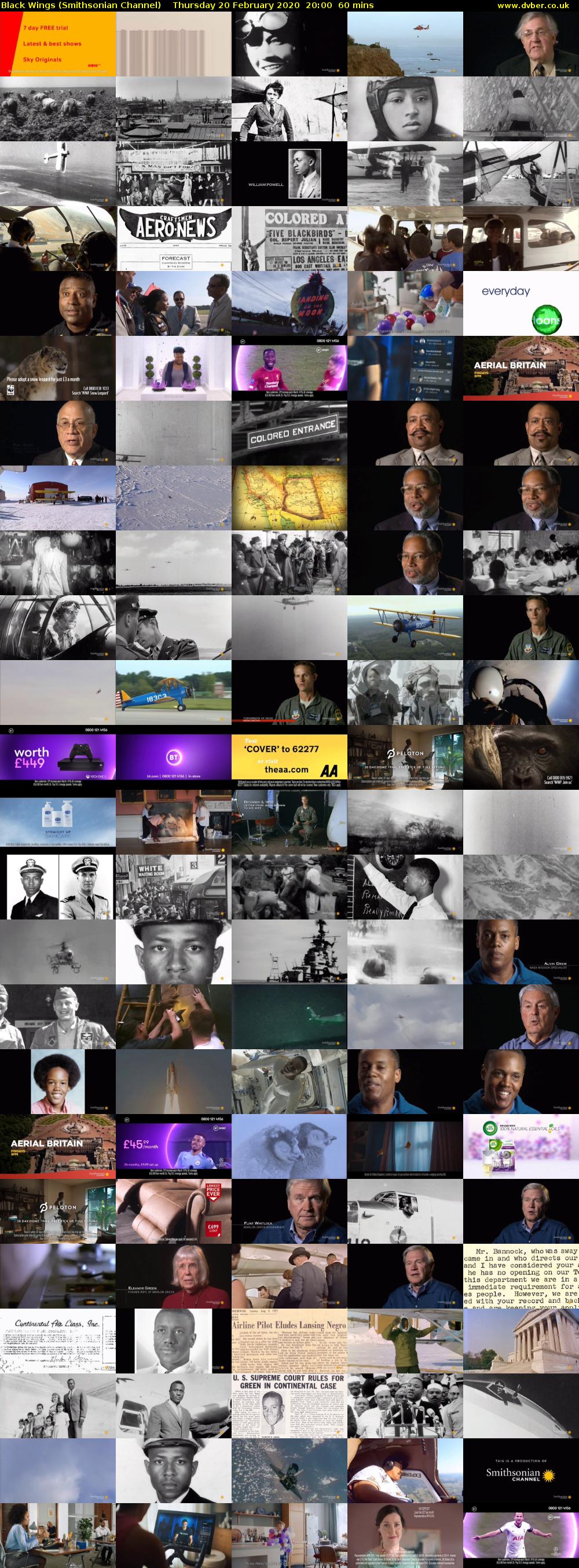 Black Wings (Smithsonian Channel) Thursday 20 February 2020 20:00 - 21:00