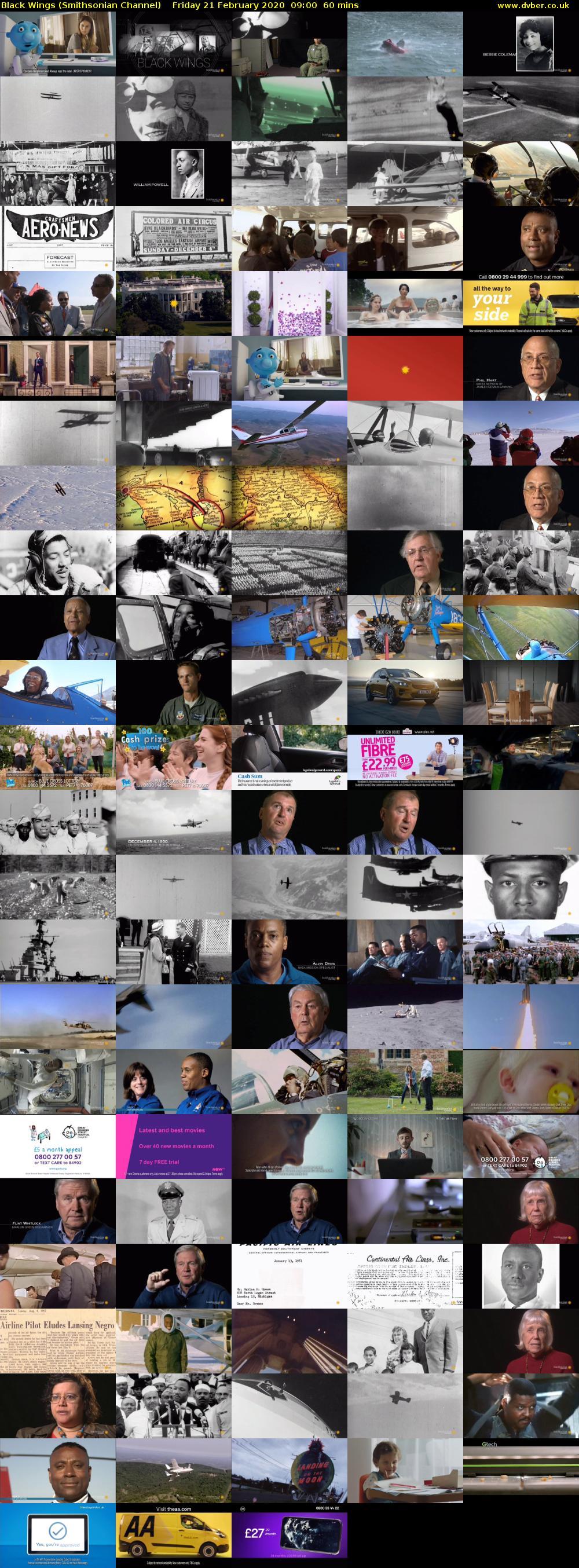 Black Wings (Smithsonian Channel) Friday 21 February 2020 09:00 - 10:00