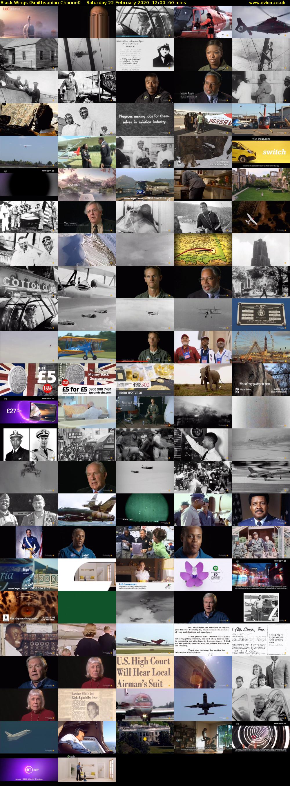 Black Wings (Smithsonian Channel) Saturday 22 February 2020 12:00 - 13:00
