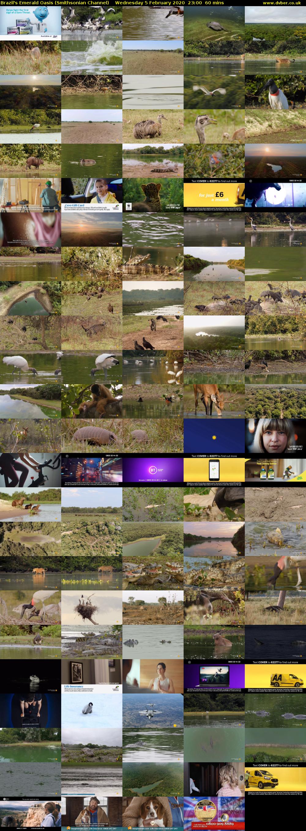 Brazil's Emerald Oasis (Smithsonian Channel) Wednesday 5 February 2020 23:00 - 00:00