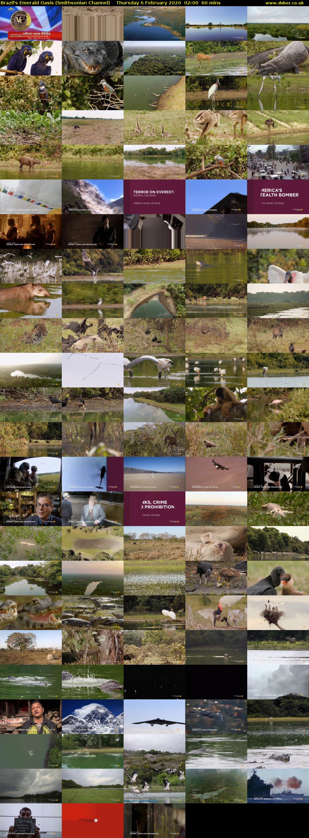 Brazil's Emerald Oasis (Smithsonian Channel) Thursday 6 February 2020 02:00 - 03:00