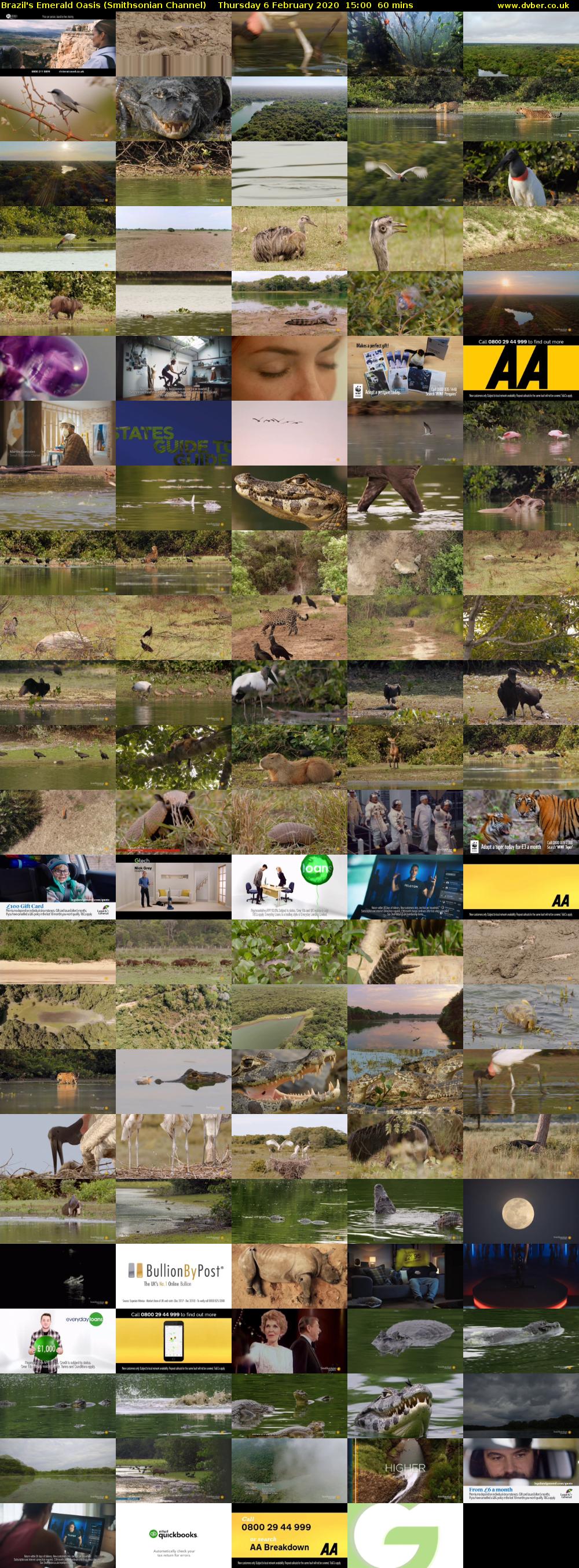 Brazil's Emerald Oasis (Smithsonian Channel) Thursday 6 February 2020 15:00 - 16:00