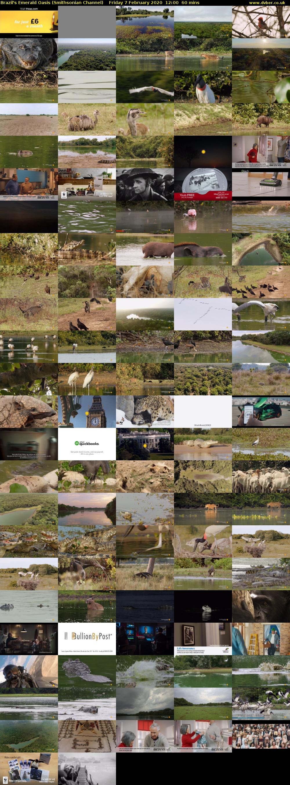 Brazil's Emerald Oasis (Smithsonian Channel) Friday 7 February 2020 12:00 - 13:00