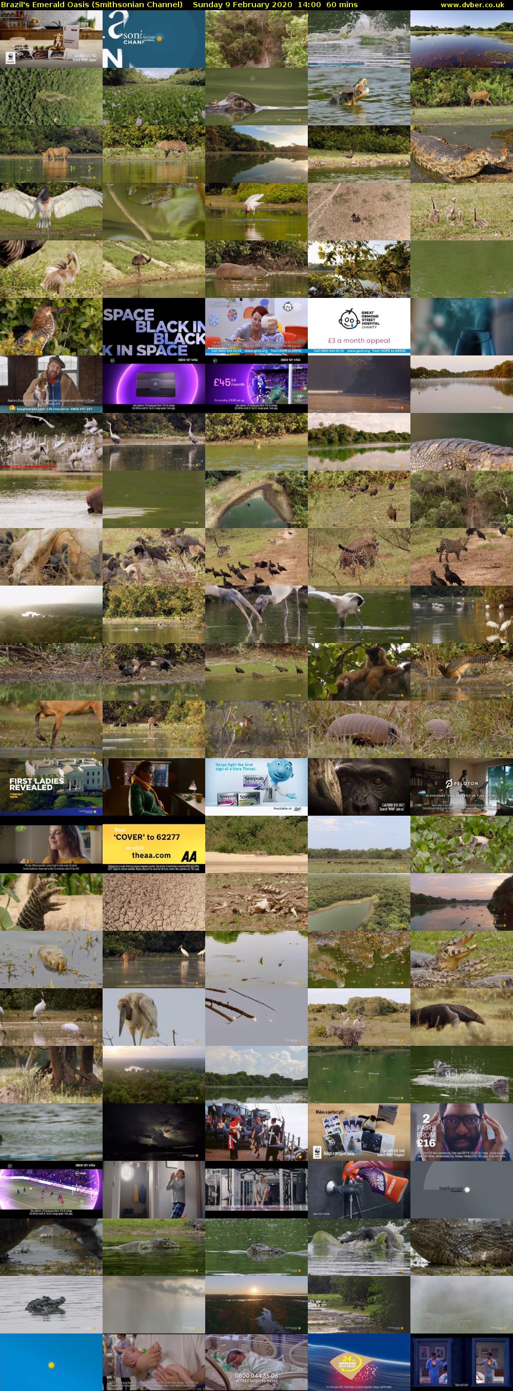 Brazil's Emerald Oasis (Smithsonian Channel) Sunday 9 February 2020 14:00 - 15:00
