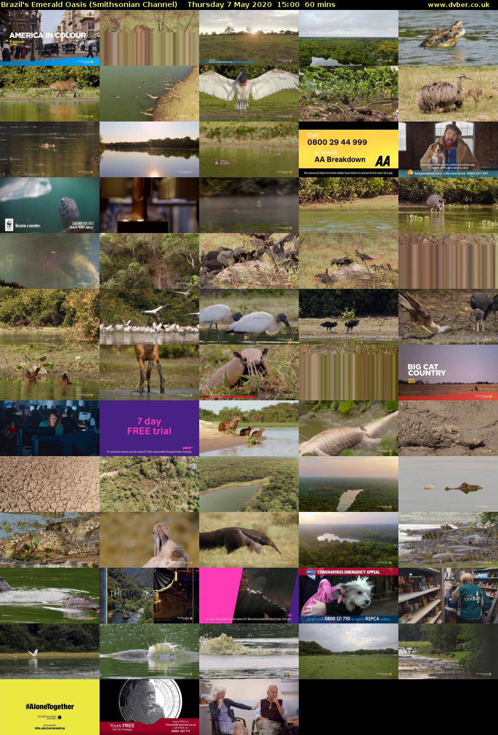 Brazil's Emerald Oasis (Smithsonian Channel) Thursday 7 May 2020 15:00 - 16:00