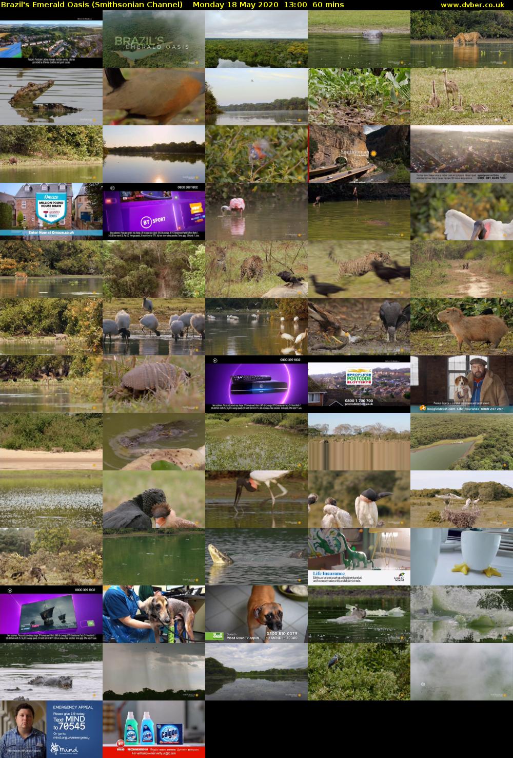 Brazil's Emerald Oasis (Smithsonian Channel) Monday 18 May 2020 13:00 - 14:00