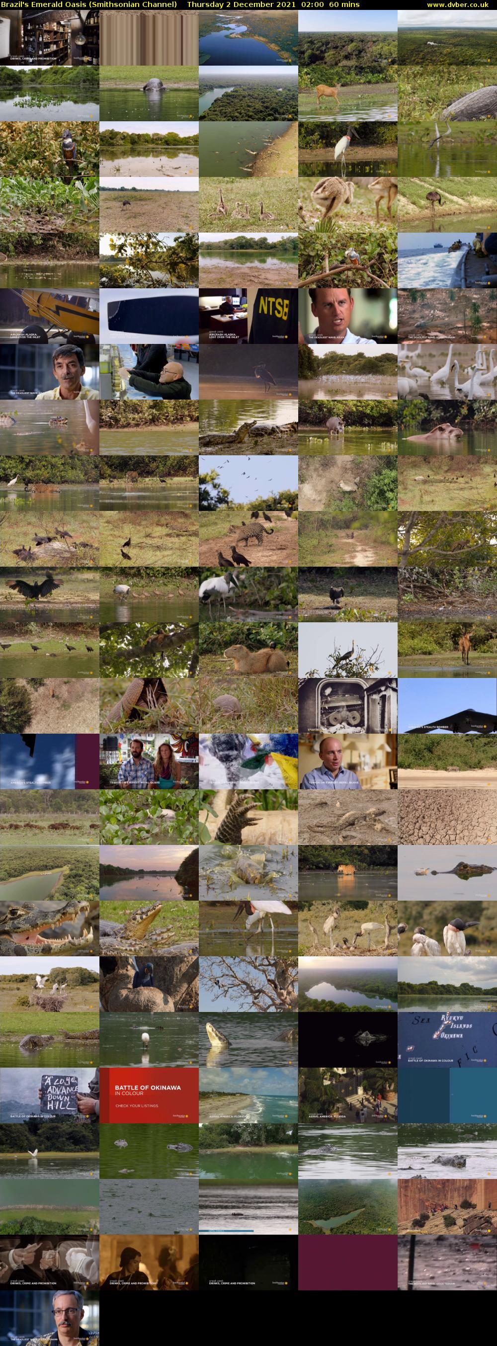 Brazil's Emerald Oasis (Smithsonian Channel) Thursday 2 December 2021 02:00 - 03:00