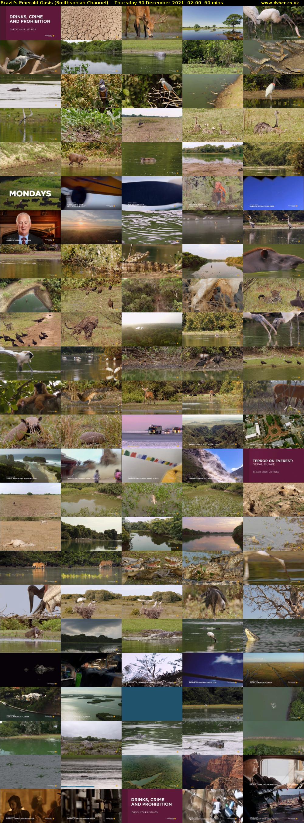Brazil's Emerald Oasis (Smithsonian Channel) Thursday 30 December 2021 02:00 - 03:00