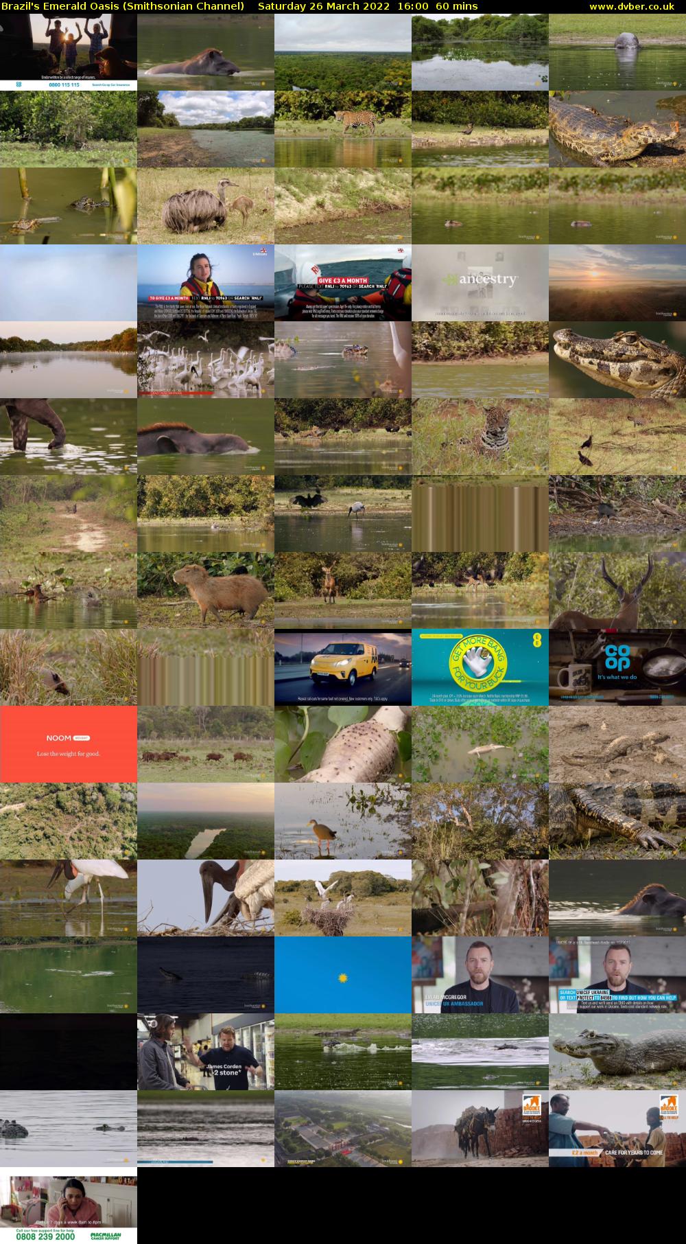 Brazil's Emerald Oasis (Smithsonian Channel) Saturday 26 March 2022 16:00 - 17:00