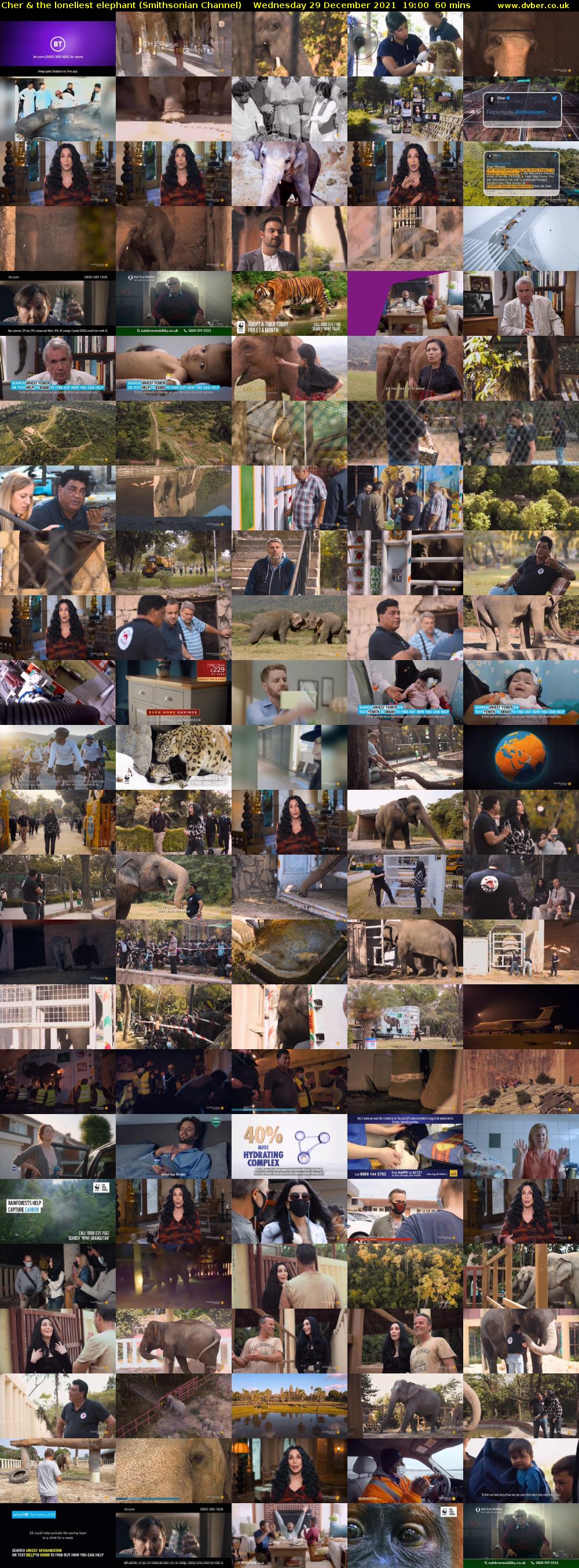 Cher & the loneliest elephant (Smithsonian Channel) Wednesday 29 December 2021 19:00 - 20:00
